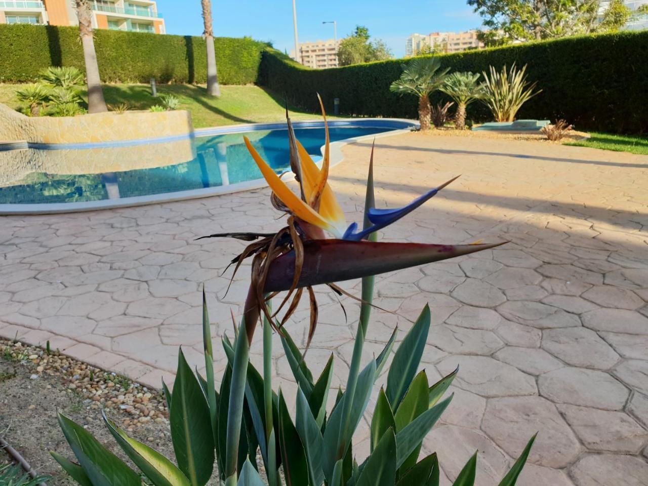 Apartamento Litoral Mar Portimão Exterior foto